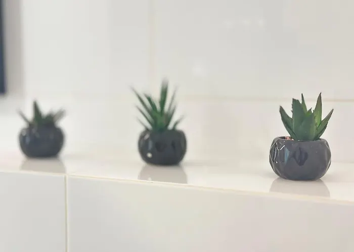 Appartement Grand Flour Gardenia Z Widokiem Na Morze Epapartmenty Dziwnów